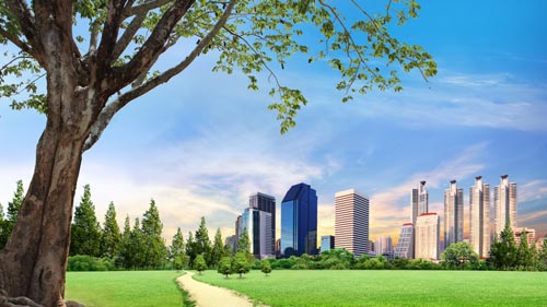 Regulated Waste Programs